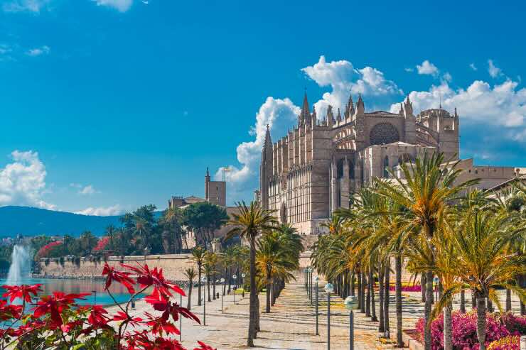 palma di Maiorca