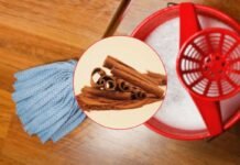 cannella in primo piano e mocio con secchio d'acqua come sfondo