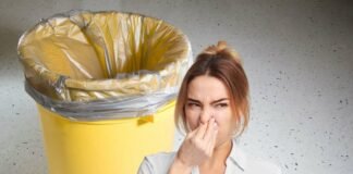 Il secchio dell’umido ha un odore insopportabile? Prova questo trucco e sentirai che profumo donna che si tappa il naso per il cattivo odore che proviene dalla pattumiera