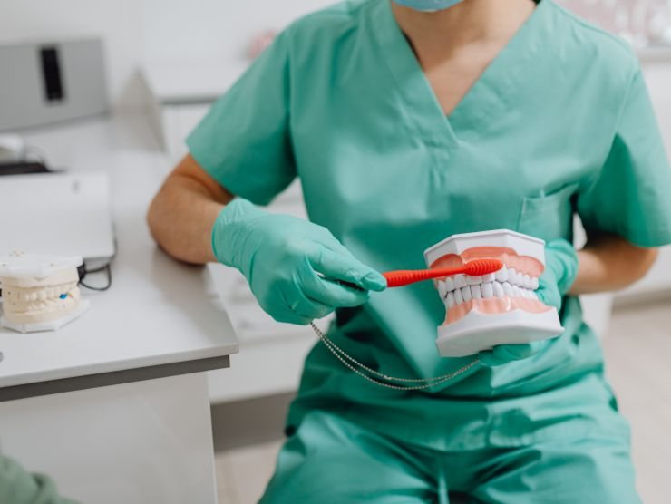 dentista che mostra come spazzolare i denti