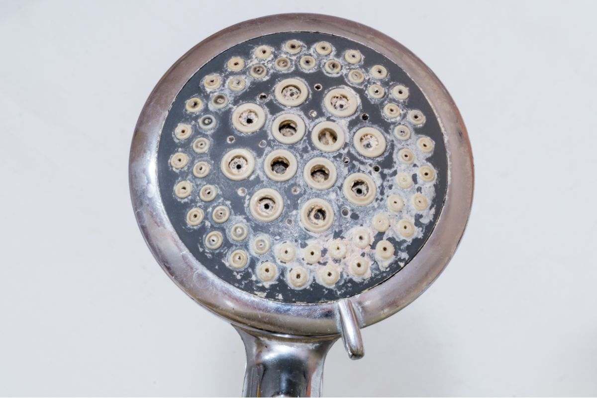 soffione della doccia pieno di calcare