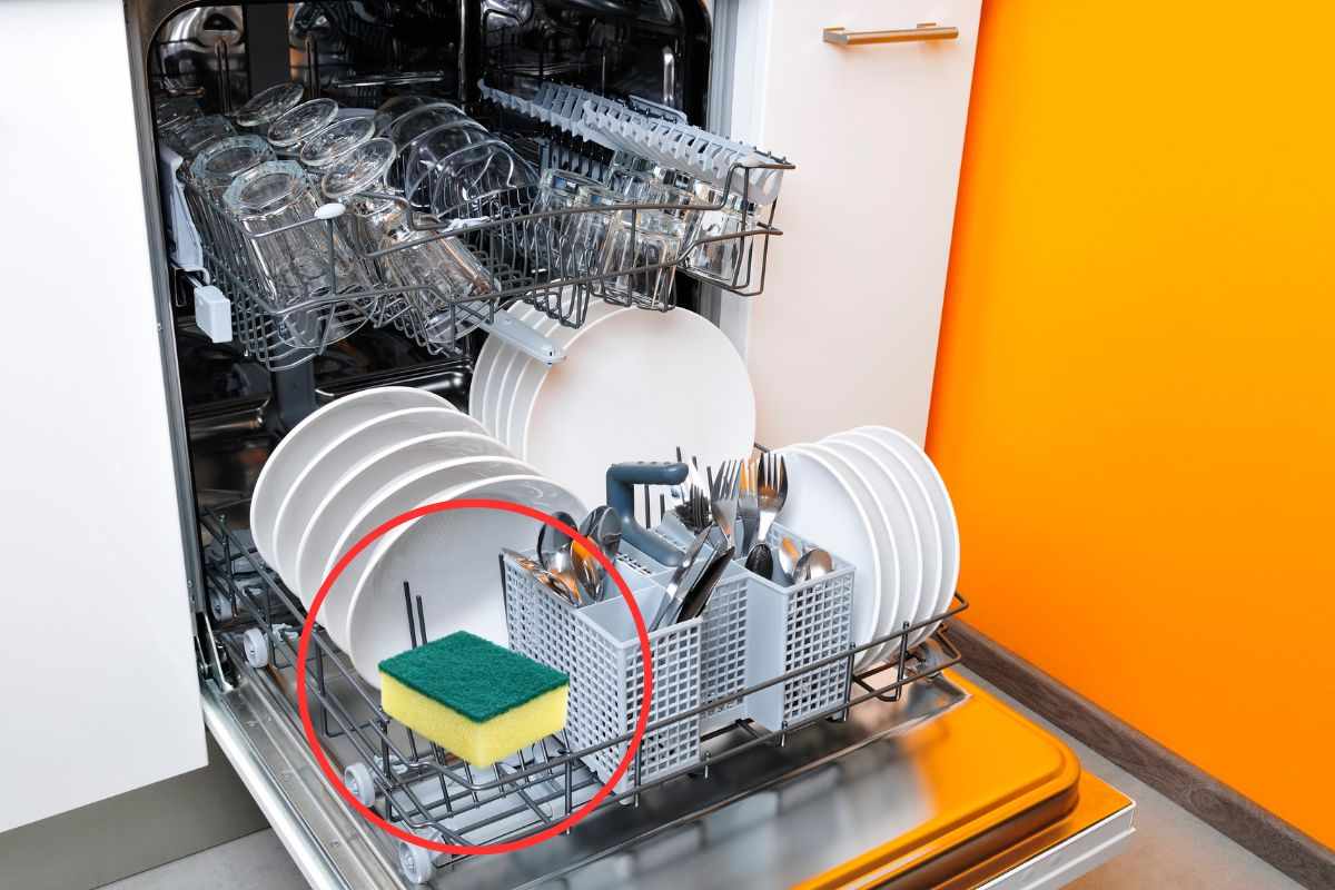 spugna nella lavastoviglie