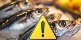 Richiamato un prelibato pesce, tremano gli italiani: allerta del Ministero della Salute pesce, segnale pericolo