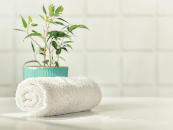 asciugamano arrotolato nel bagno e pianta profumata