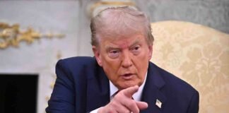 Trump respinge le accuse di immobilismo contro Putin: “Chi dice che non ho agito deve trovarsi un nuovo lavoro” Donald Trump