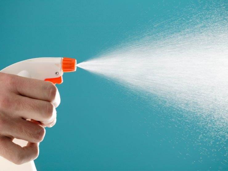 spruzzino che eroga acqua