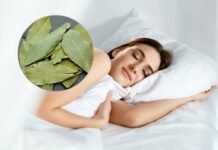 donna che dorme e foglie di alloro