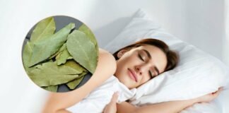 donna che dorme e foglie di alloro