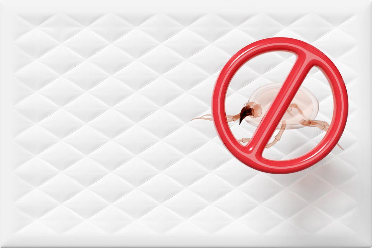 materasso e acaro con segnale di divieto