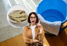 donna con idea, foglie di alloro e secchio d'acqua per lavare i pavimenti