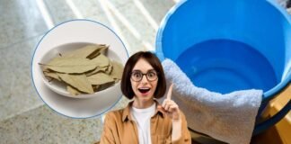 donna con idea, foglie di alloro e secchio d'acqua per lavare i pavimenti