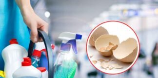 secchio con prodotti per la pulizia di casa e gusci d'uovo