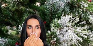 donna spaventata e albero di natale innevato