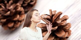 donna che sente profumo provenire dalle pigne