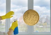 moneta da 50 centesimi e spray per pulizia vetri