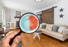 lente d'ingrandimento con vetrino da laboratorio e salotto