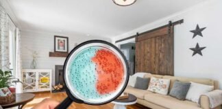 lente d'ingrandimento con vetrino da laboratorio e salotto