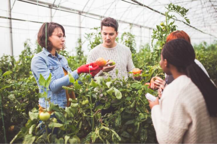 ragazzi e ragazze in serra