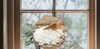 finestra e in primo piano una ciotola con del sale