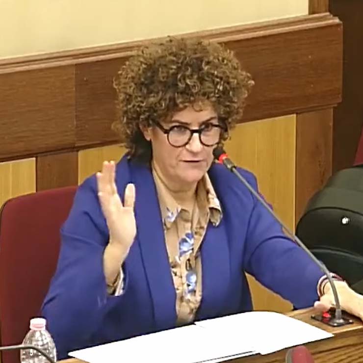 Antonella Zedda (FdI) in Commissione Covid
