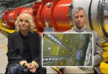 Cosa succede quando ci fanno una risonanza magnetica? Viaggio nel mondo dei superconduttori | Con il CERN di Ginevra
