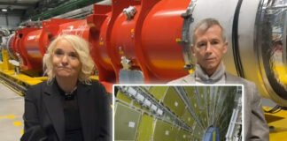 Cosa succede quando ci fanno una risonanza magnetica? Viaggio nel mondo dei superconduttori | Con il CERN di Ginevra