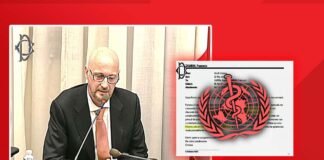 Zambon in Commissione Covid