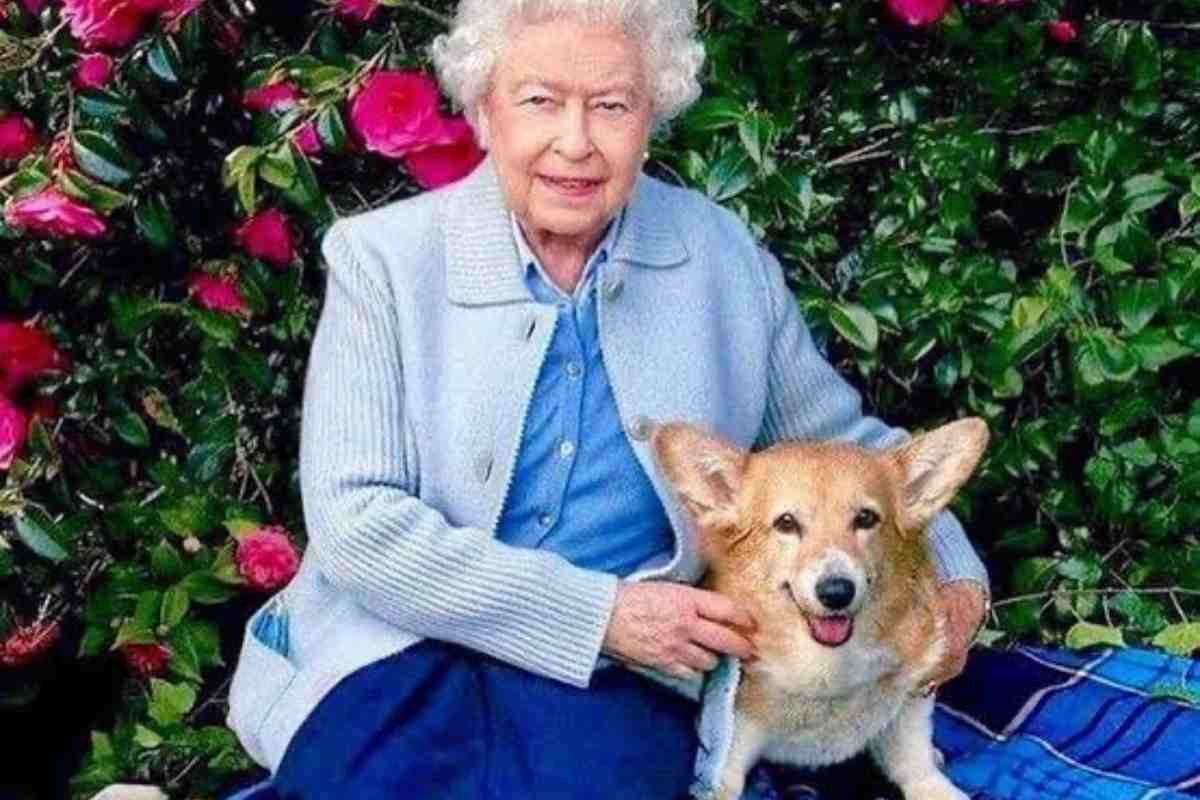 Elisabetta e i corgi