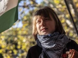 La verità sulla virale strillata di Greta Thunberg al governo italiano La verità sulla virale strillata di Greta Thunberg al governo italiano