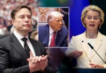 Trump scopre in conferenza la multa dell’UE a Elon Musk: “Stanno prendendo una brutta piega” Trump scopre in conferenza la multa dell'UE a Elon Musk: "Stanno prendendo una brutta piega"