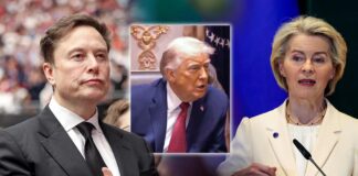 Trump scopre in conferenza la multa dell’UE a Elon Musk: “Stanno prendendo una brutta piega” Trump scopre in conferenza la multa dell'UE a Elon Musk: "Stanno prendendo una brutta piega"