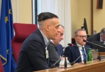 Cicalone denuncia alla Camera ▷ “Vi spiego dove si nasconde la microcriminalità delle grandi città”