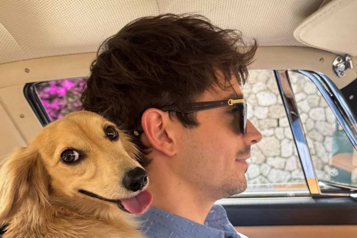 Leclerc e il cagnolino