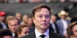 Avete sentito Musk sull’UE? Ecco la tragica verità da leggere tra le righe