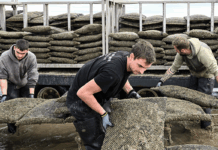 “Per le pensioni del futuro risolveremo così”, sproloquio OCSE: condannano una generazione "Per le pensioni del futuro risolveremo così", sproloquio OCSE: condannano una generazione - radioradio.it