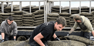 “Per le pensioni del futuro risolveremo così”, sproloquio OCSE: condannano una generazione "Per le pensioni del futuro risolveremo così", sproloquio OCSE: condannano una generazione - radioradio.it