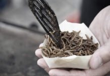 Giorgio Bianchi e il “premio Unesco” ▷ “Sicuri non stia arrivando il cibo per l’emergenza di guerra?”