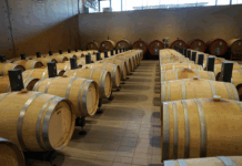 La crociata contro il vino e i cibi tipici: paura sanitaria o eccesso di Stato? | Con Boni e Paganini