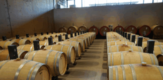 La crociata contro il vino e i cibi tipici: paura sanitaria o eccesso di Stato? | Con Boni e Paganini