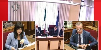 Bufera in Commissione Covid: “Mi sta minacciando?” ▷ Buonguerrieri a Colucci: “Sta provando a bloccarmi” Bufera in Commissione Covid: "Mi sta minacciando?" ▷ Buonguerrieri a Colucci: "Sta provando a bloccarmi"