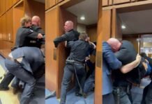 "Nessuno vuole combattere per Israele!": ex marine cacciato dal Senato USA (e gli rompono una mano)