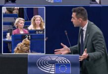 Faccia a faccia Vannacci-von der Leyen in Parlamento UE ▷ "Non fa lei il pieno alla sua auto, vero?"