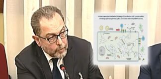 L’audizione di Cosentino in Comm. Covid ▷ “MRna, vi spiego quello che nemmeno i produttori sanno”