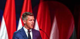 Stanno tutti prendendo una grossa cantonata su Peter Magyar