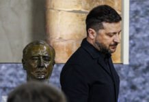 Questione Ucraina, Zelensky