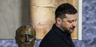 Questione Ucraina, Zelensky
