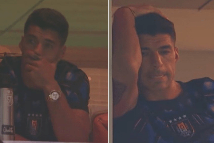 VIDEO | Mondiali, la reazione di Luis Suárez dopo Uruguay-Capo Verde diventa virale