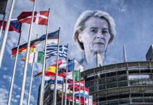 Sì, per salvare l’Europa ci vuole meno Unione Europea Sì, per salvare l'Europa ci vuole meno Unione Europea