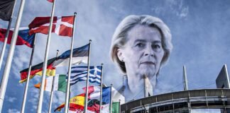 Sì, per salvare l'Europa ci vuole meno Unione Europea