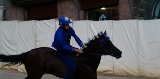 “È una tortura”, Palio Siena: scontro in diretta tra il contradaiolo e l’Horse Protection
